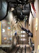 narodni muzeum praag 7-2023 9044